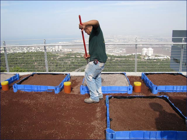 Plantaciones en azoteas verdes de la Universidad de Haifa